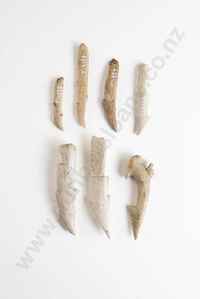 Eight Bone Fishhook Barbs Image 1++