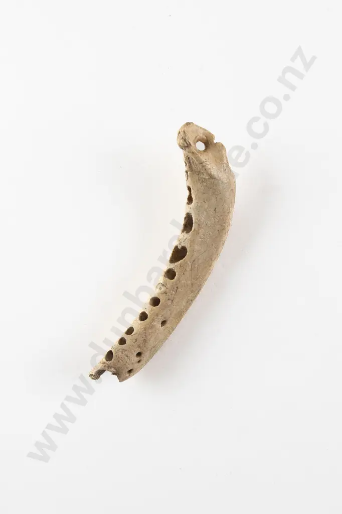 Fish Jaw Bone Pendant Image 1++