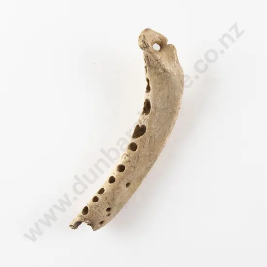 Fish Jaw Bone Pendant