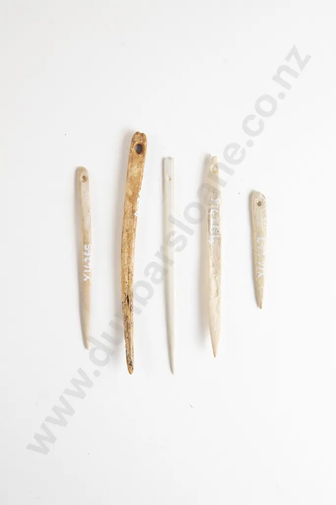 Five Bone Awl (Needles) Image 1++