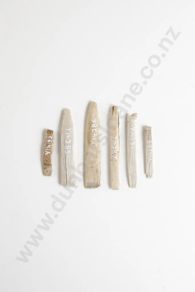 Six Bone Uhi (Ta Moko Chisels) Image 1++