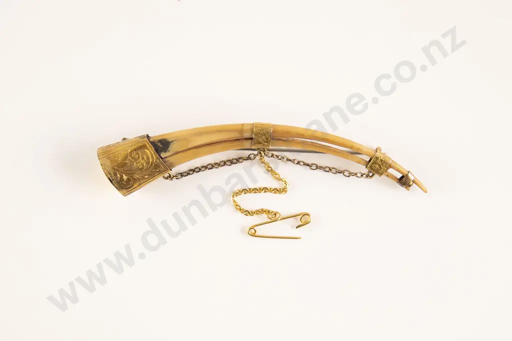 Huia Beak Broach Image 1++