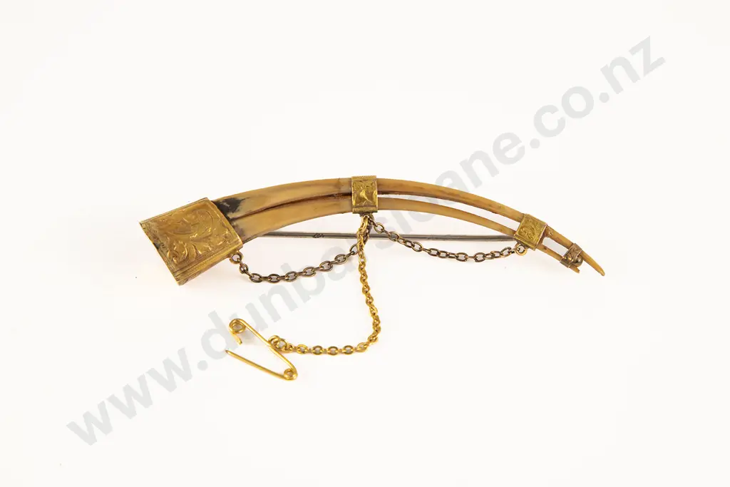 Huia Beak Broach Image 1++