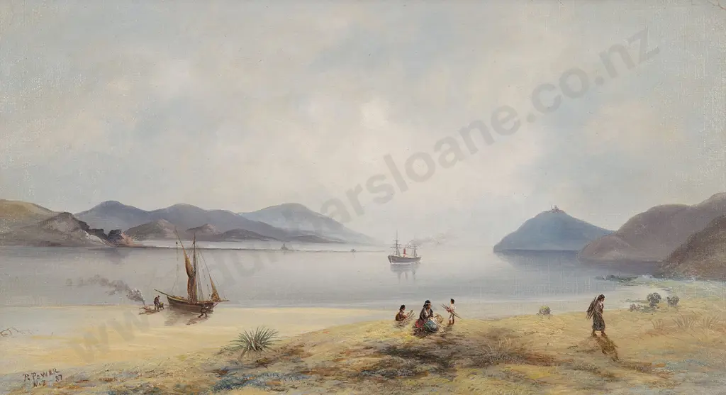 Peter Power (1834 - 1918) - Taiaroa Head Image 1++