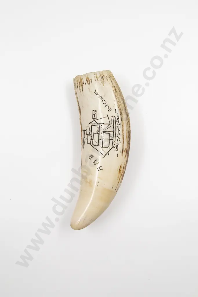 A Sperm Whale Tooth With Later Scrimshaw Image 1++