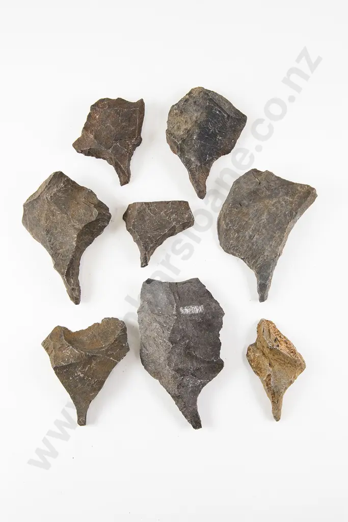 Eight Awls From The Pitcairn Islands Image 1++