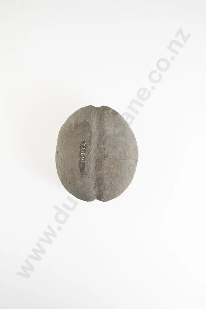 A Large Mahe (Stone Sinker) Image 1++