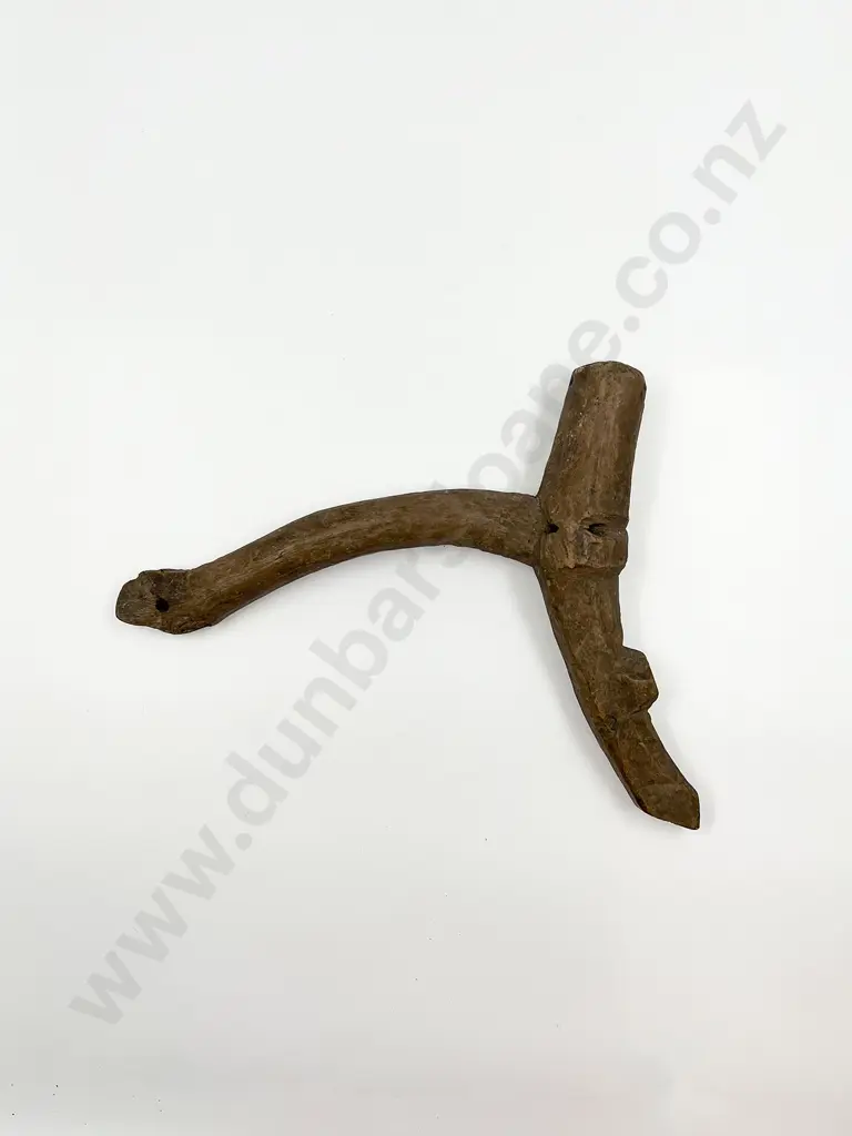 A Mutu Kaka (Bird Perch) Image 1++