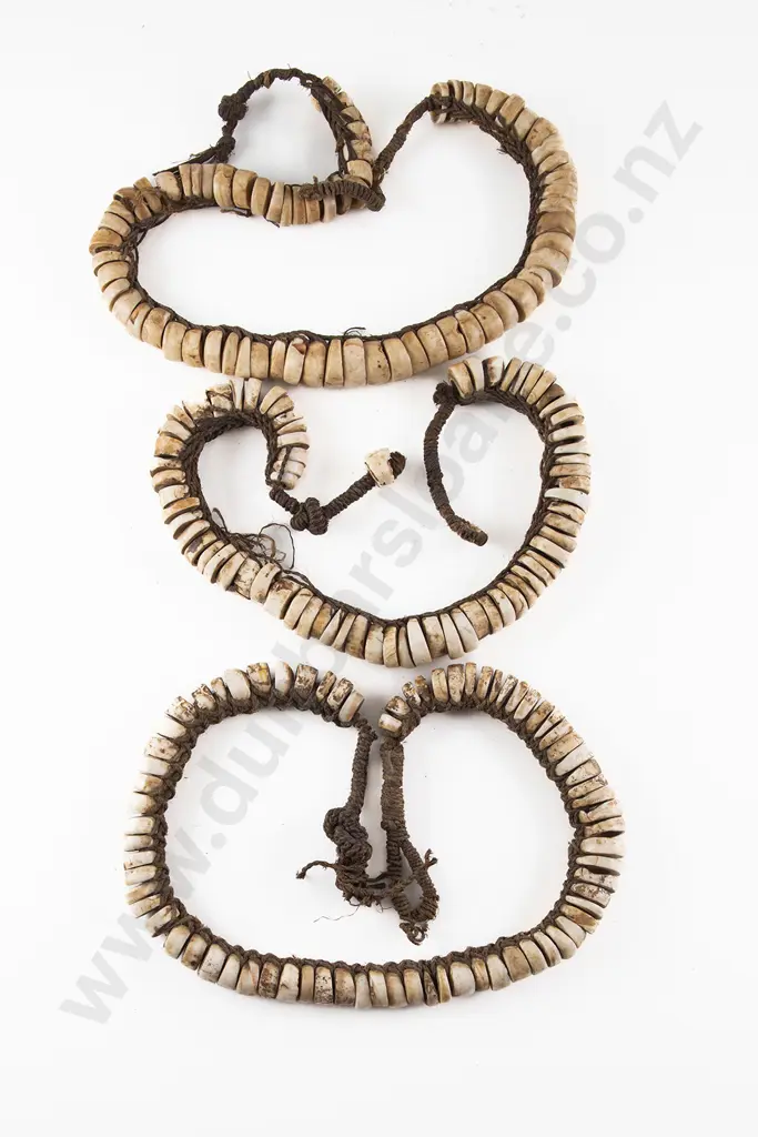 Three Cowrie Shell Currency Necklaces From The Madang Province Image 1++