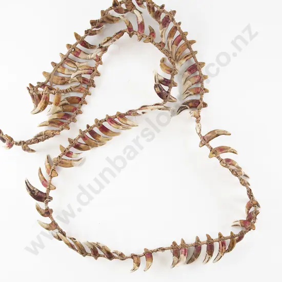A Papua New Guinea Warriors Dog Tooth Necklace