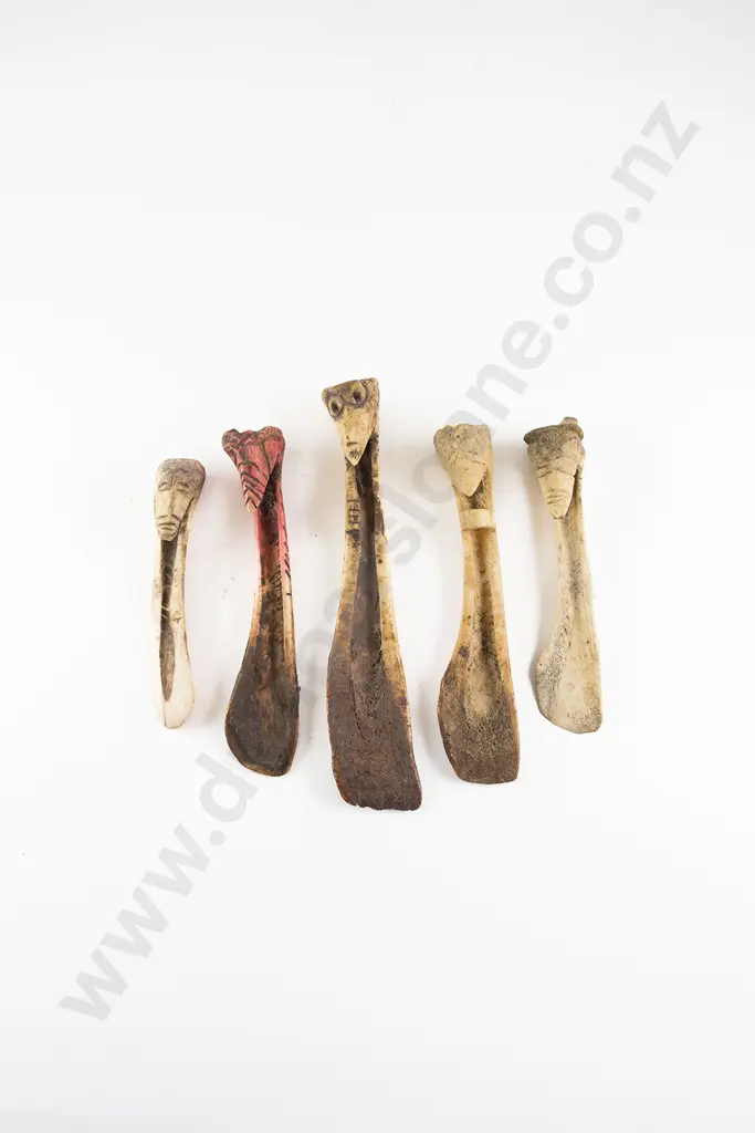Five Cassowary Bone Spatulas Image 1++