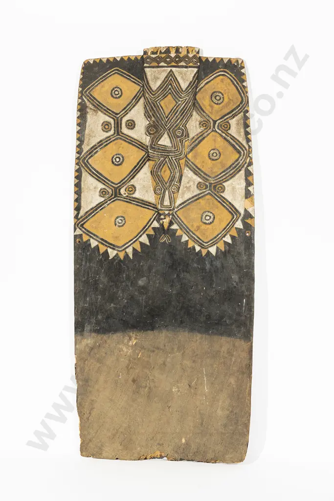 A Papua New Guinea War Shield From The Pora Pora River Image 1++