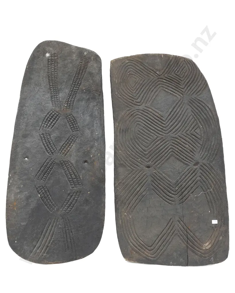 Two Papua New Guinea Shields Image 1++