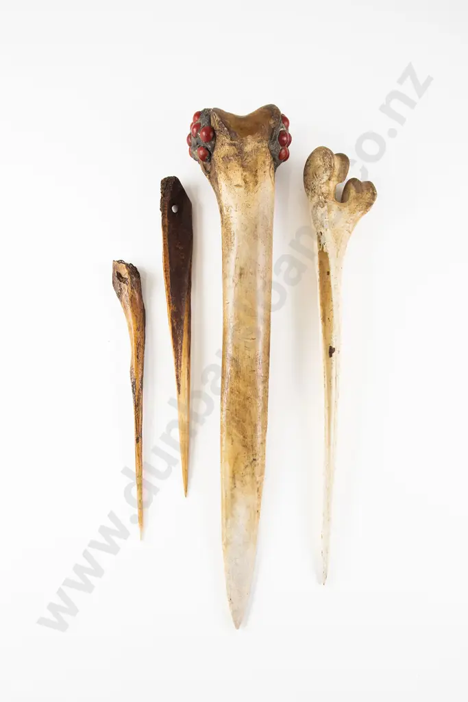 Four Cassowary Bird Daggers Image 1++