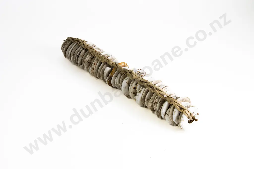 Papua New Guinea Cut Shell Currency Image 1++
