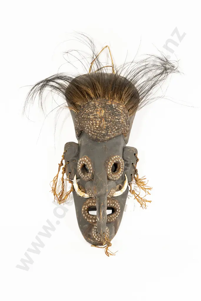Papua New Guinea Mask Image 1++