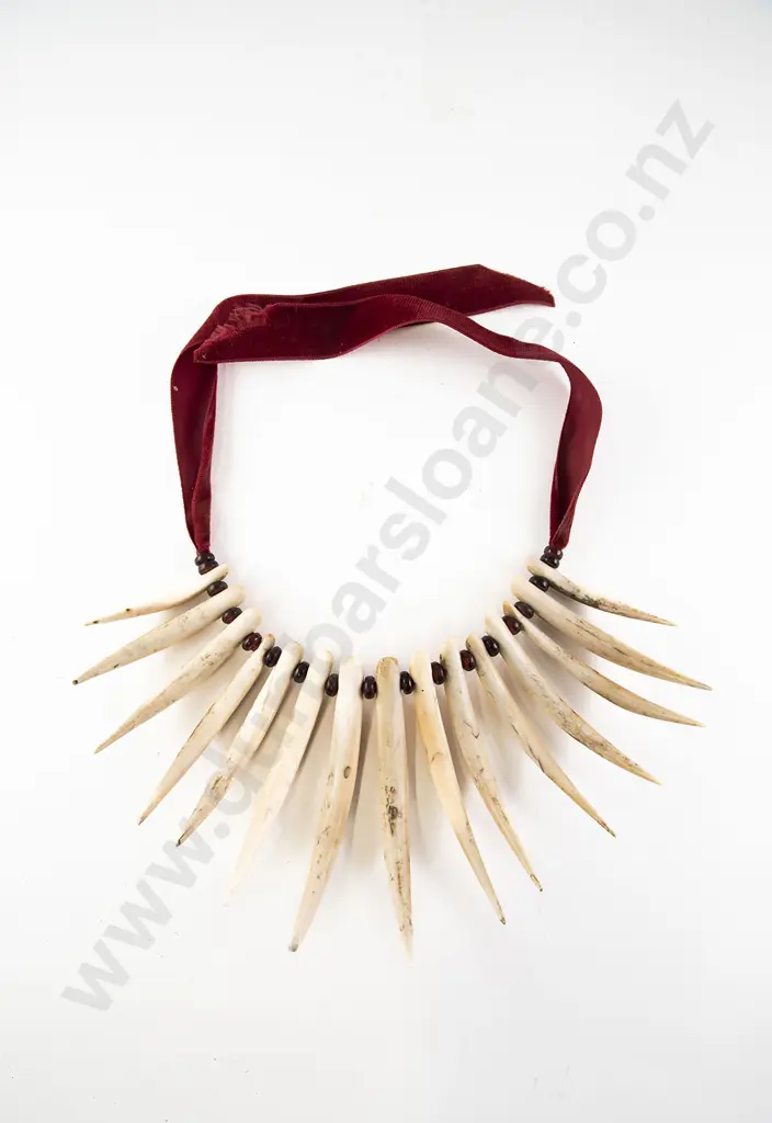 Fijian Wasekaseka (Sperm Whale Tooth Necklace) Image 1++