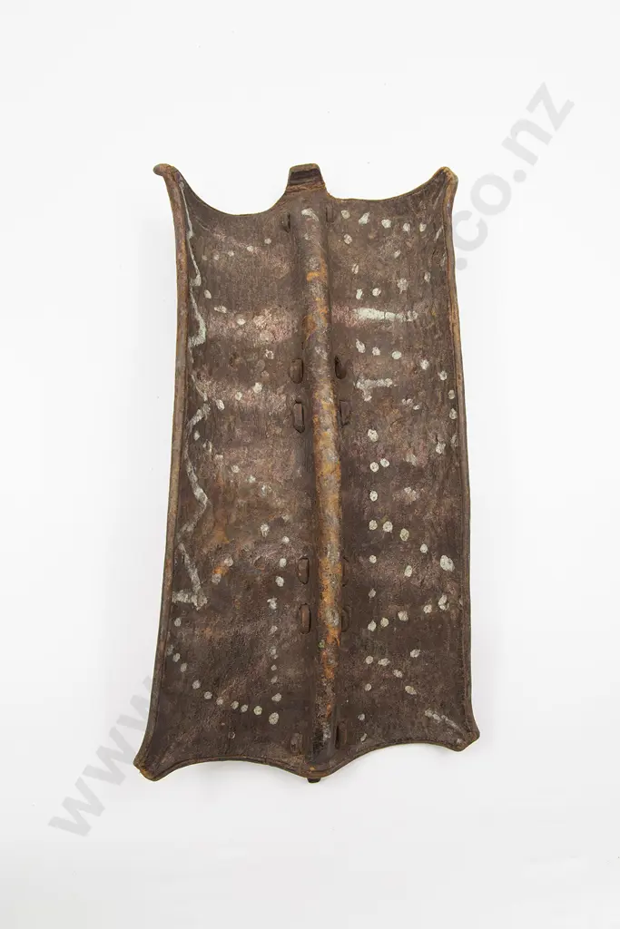 Toposa Shield Image 1++