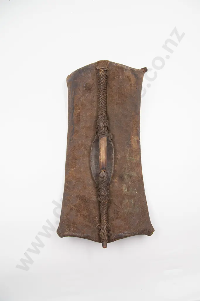Toposa Shield Image 1++