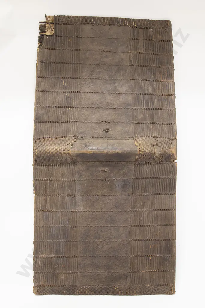 African Topoke Shield Image 1++