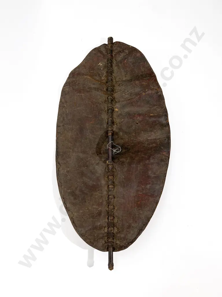 A Dinka Tribe Shield Image 1++