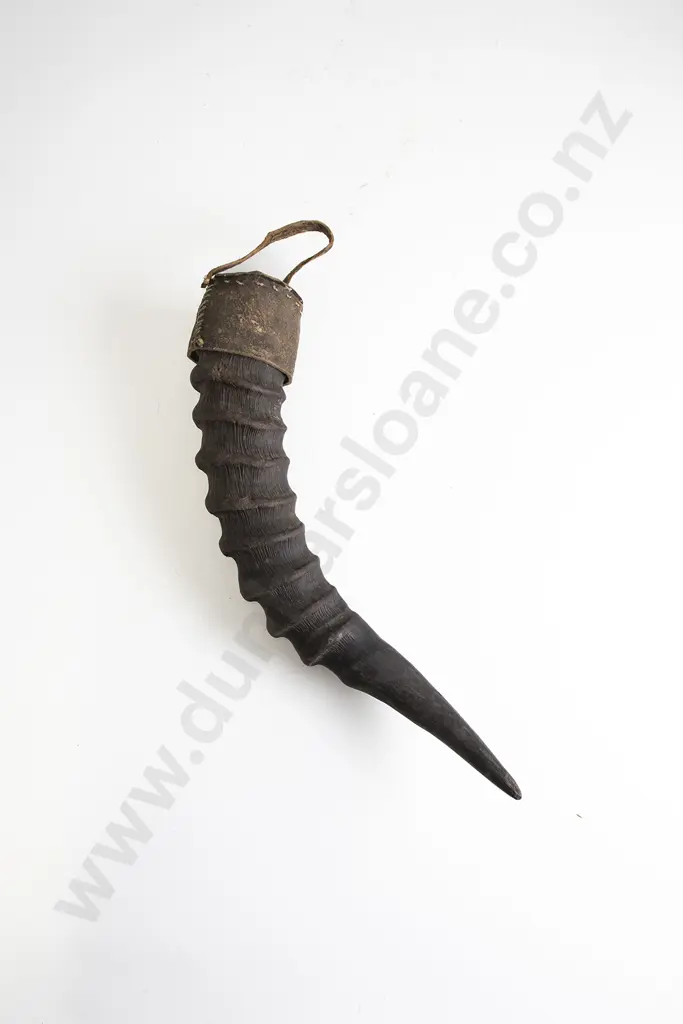 An African Horn Container Image 1++