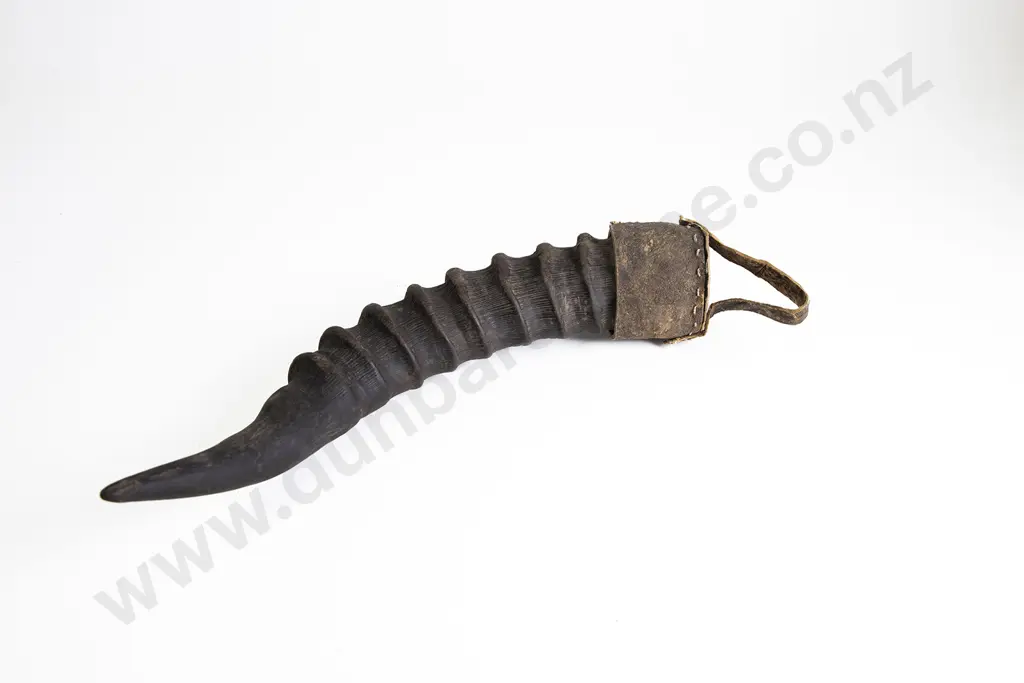 An African Horn Container Image 1++