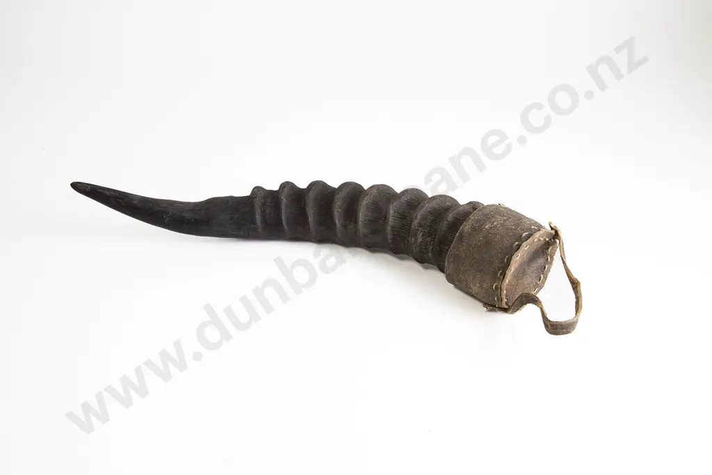 An African Horn Container Image 1++