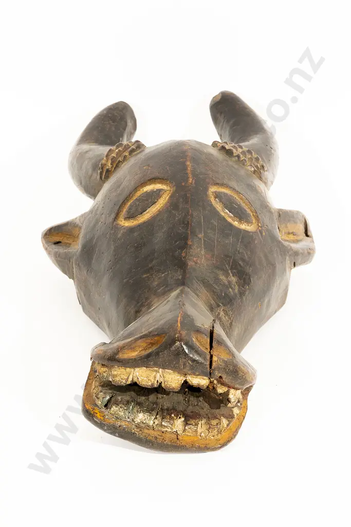 A Bamenda Cow Bush Mask From Cameroon Image 1++