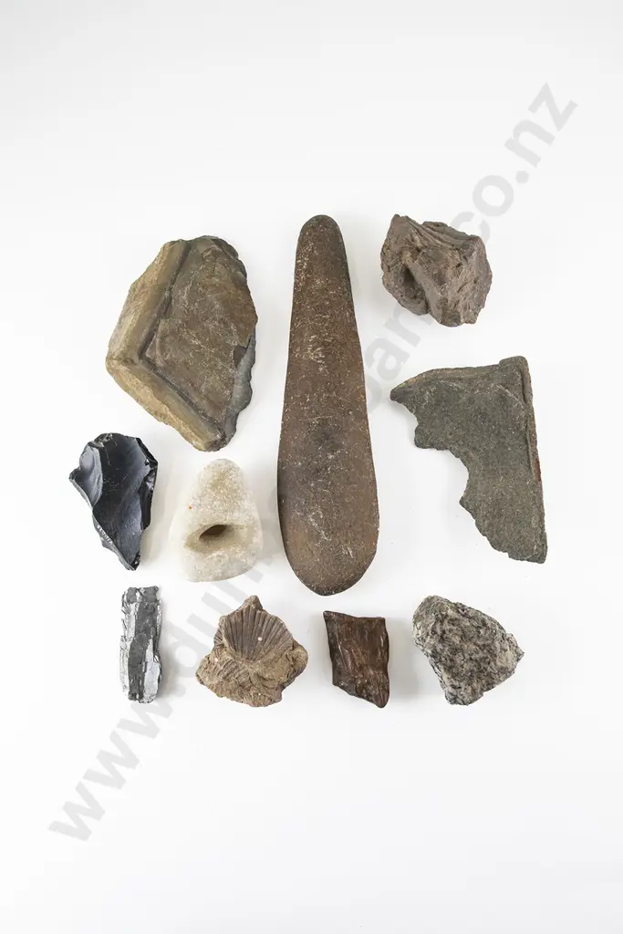 Pacific Adze And Other Assorted Fossils etc Image 1++