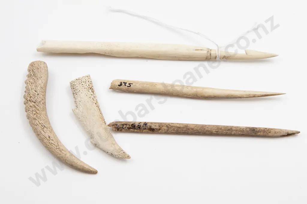 Two Bone Fish Barbs And Three Awl Fragments Image 1++