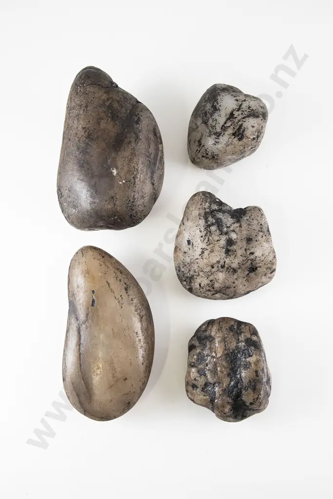 Chuckie Stones From Ten Mile Valley Coal Mine On The West Coast Image 1++