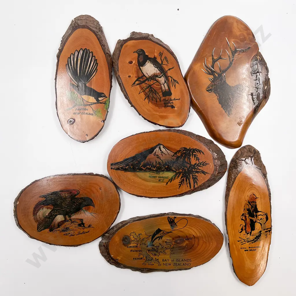 Seven Rimu Wall Plaques Depicting Native Birds And New Zealand Scenery Image 1++
