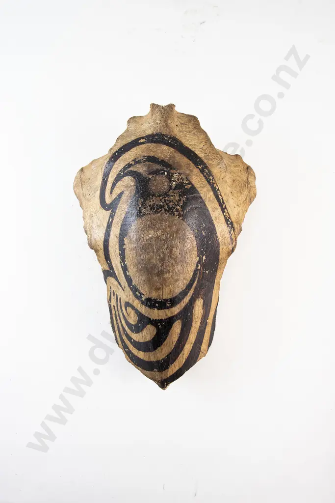 Jaw Bone Codpiece From Papua New Guinea Image 1++