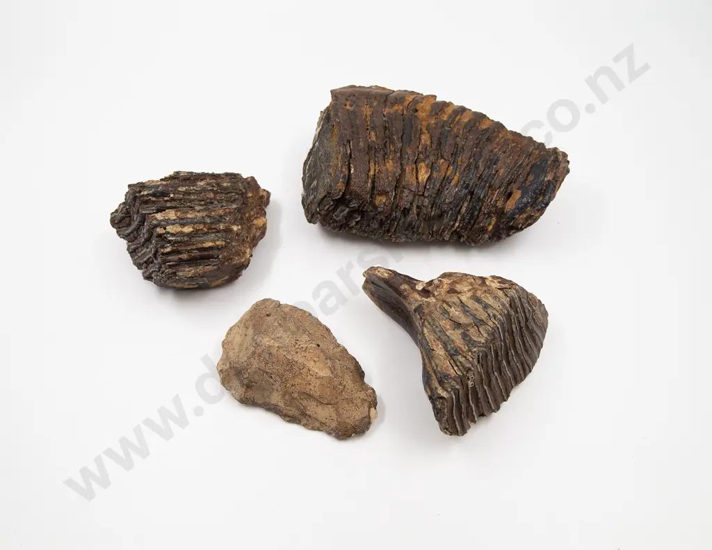 A Neanderthal Hand Axe And Three Mammoth Tooth Fossils Image 1++