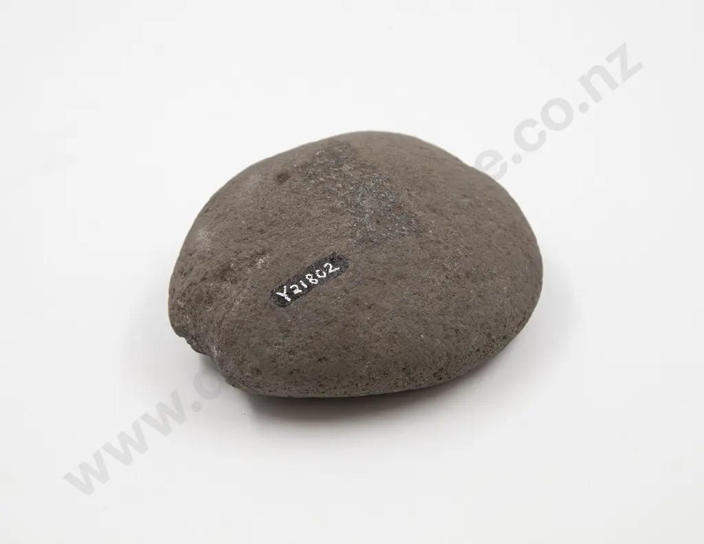 A Large Mahe (Sinker) Image 1++