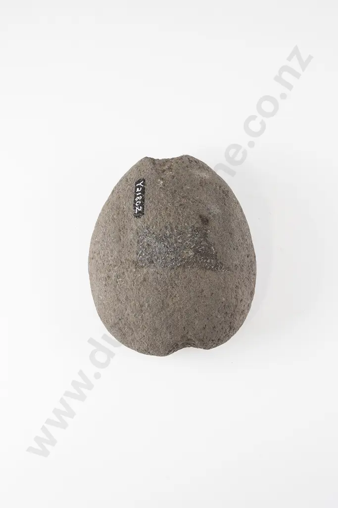 A Large Mahe (Sinker) Image 1++