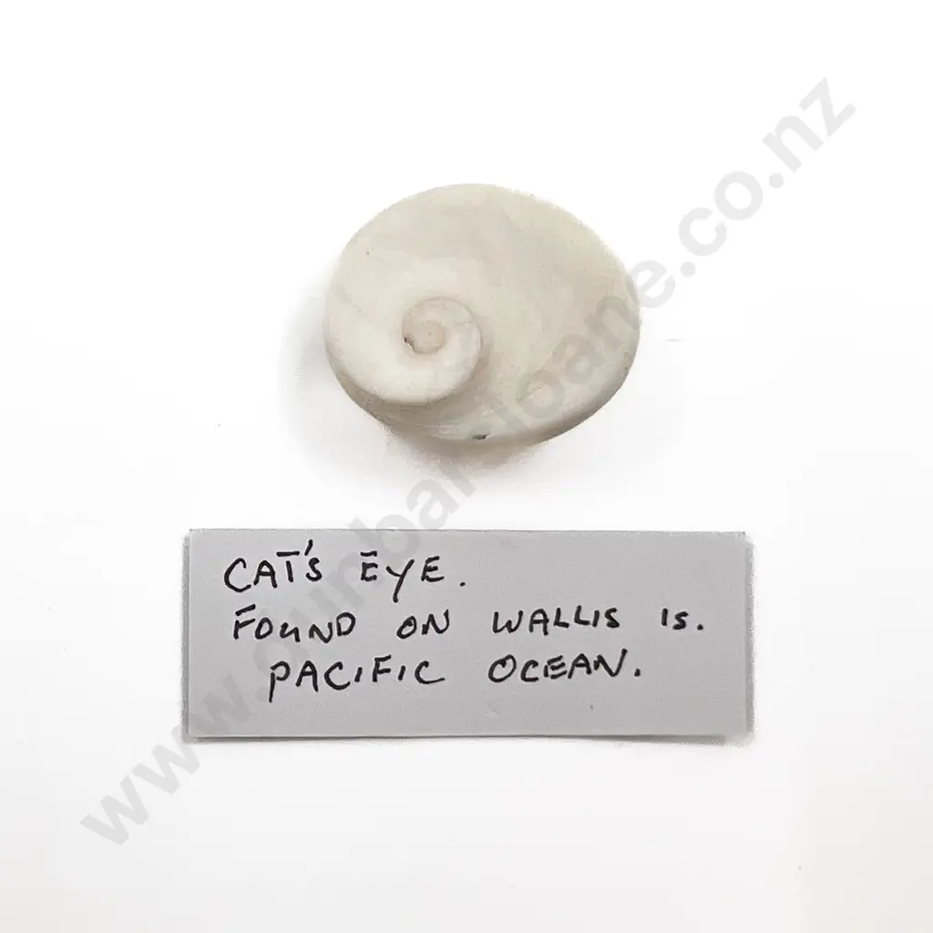 A Group Of Miscellaneous Items Image 1++
