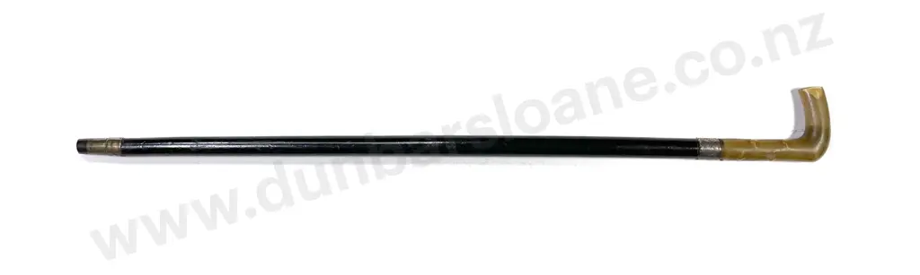 Victorian Sword Stick Image 1++