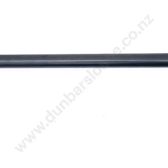 Early 20th Walking Stick Gun