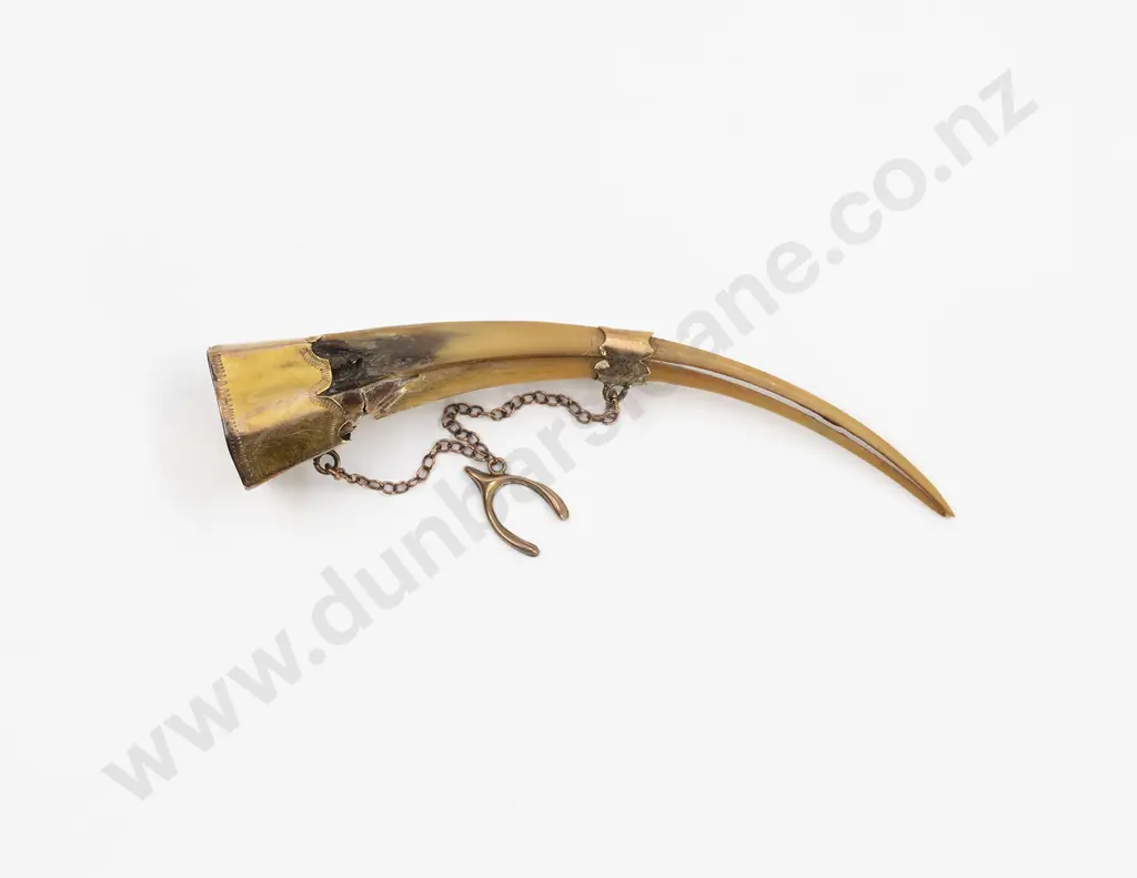 NZ Colonial 9ct Mounted Huia Beak Brooch Image 1++