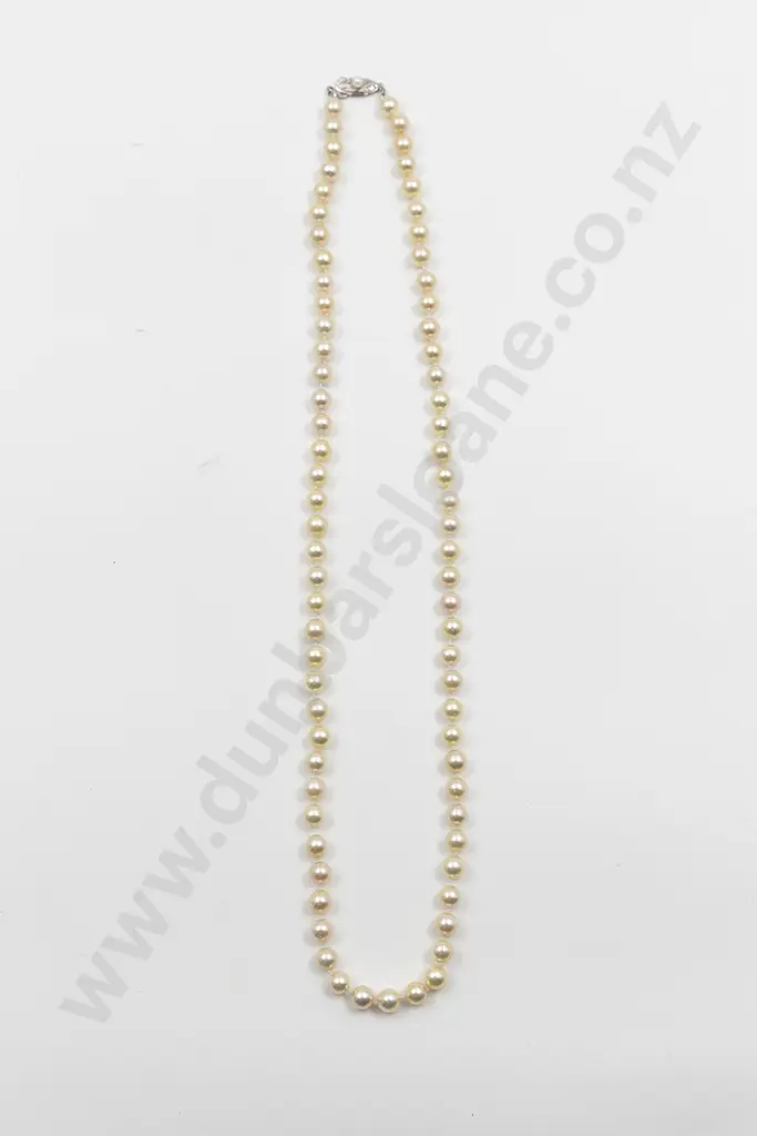 Single Strand Uniform Cultured Pearl Necklace Image 1++