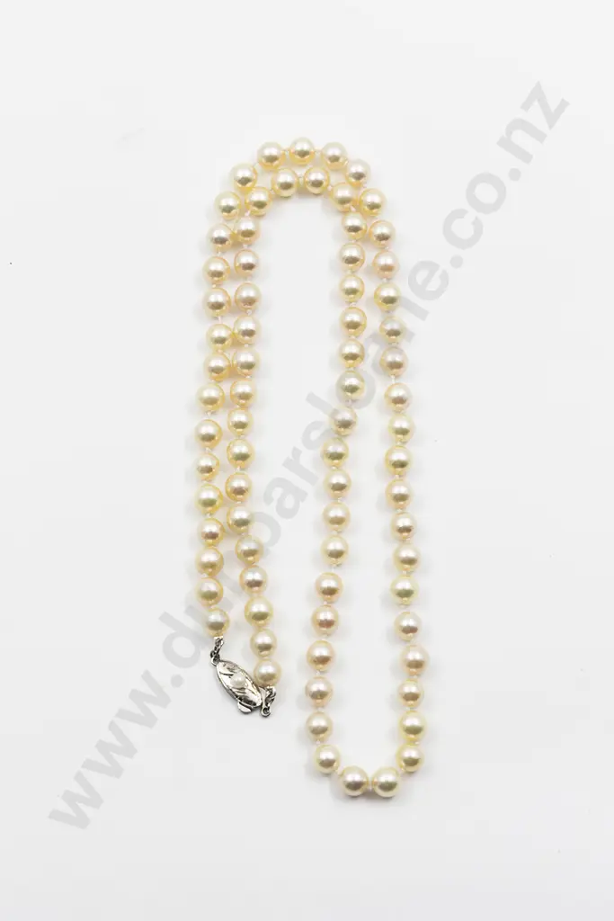 Single Strand Uniform Cultured Pearl Necklace Image 1++