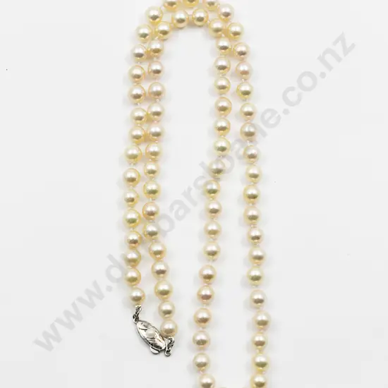 Single Strand Uniform Cultured Pearl Necklace