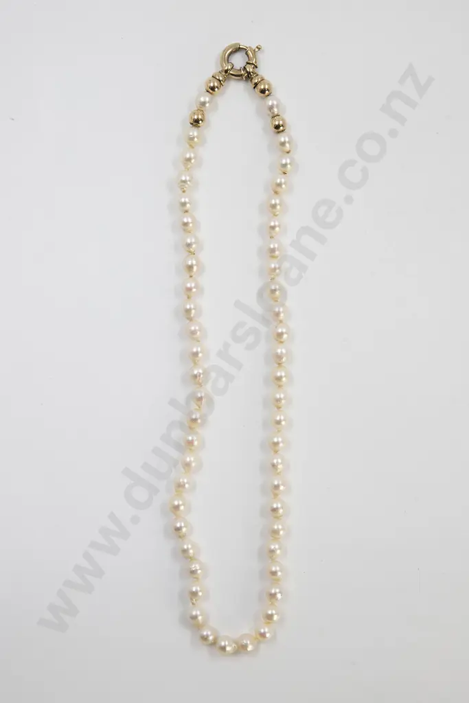 Single Strand Uniform Cultured Pearl Necklace Image 1++