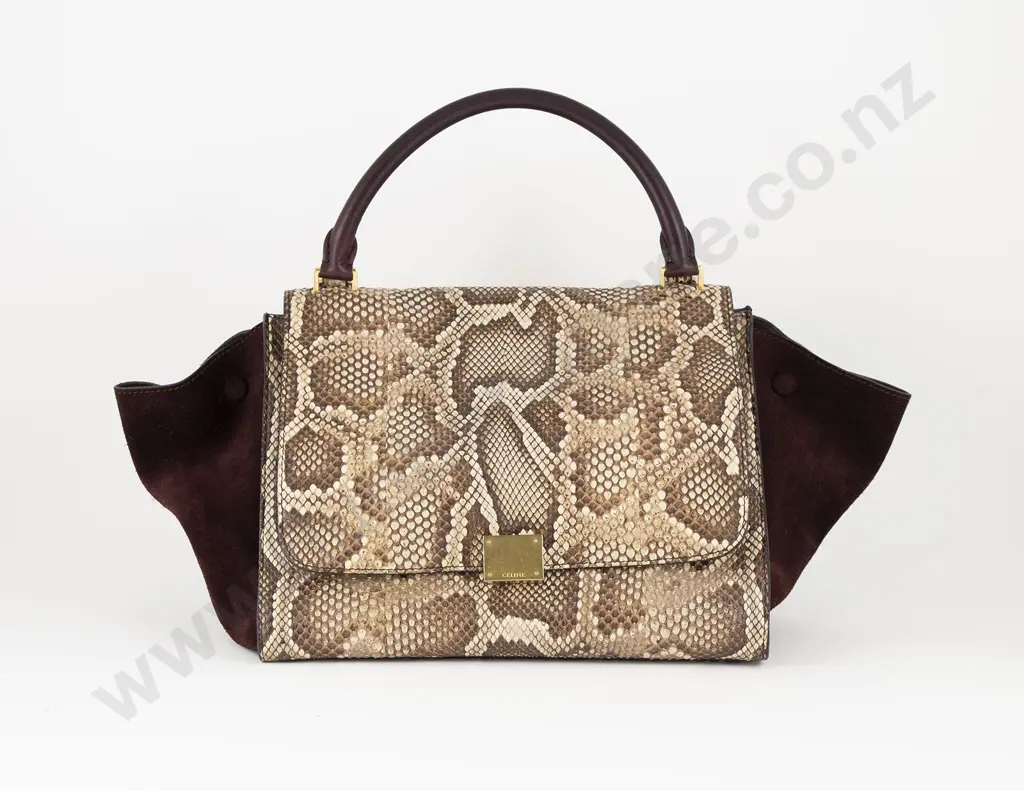 Celine Python Leather Trapeze Bag Image 1++
