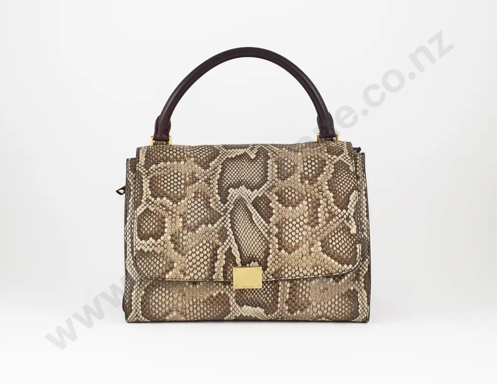 Celine Python Leather Trapeze Bag Image 1++