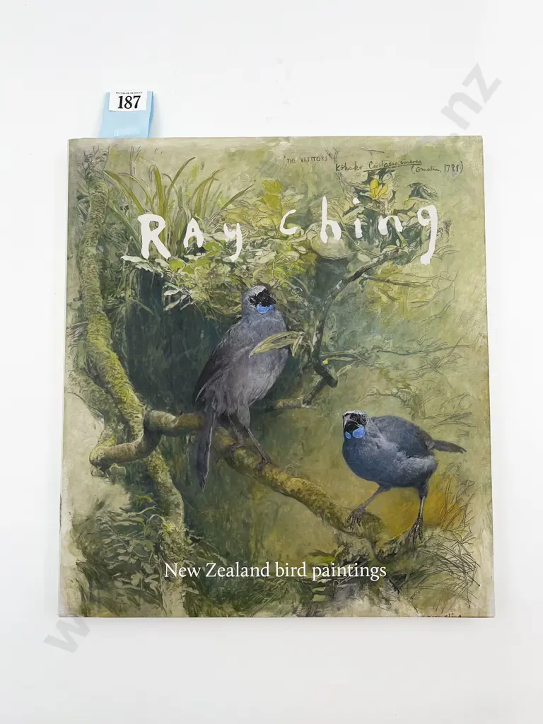 Ray Ching - NZ Bird Paintings Image 1++