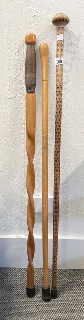 Three Walking Sticks Image 1++