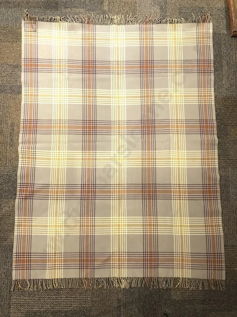 Woolen Picnic Rug Image 1++